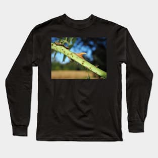 Wild rose stem with thorns Long Sleeve T-Shirt